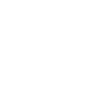 Nemo0Nothingness's emblem