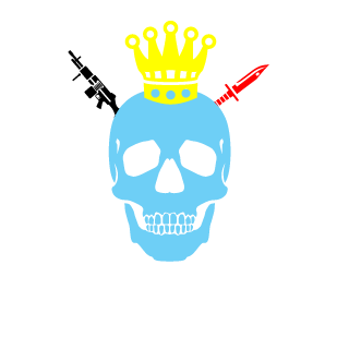 LucasGamer341's emblem