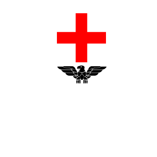 csfreak306's emblem