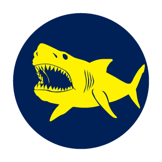 Cpt_meinox's emblem