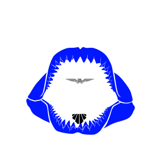 DrMadkills's emblem