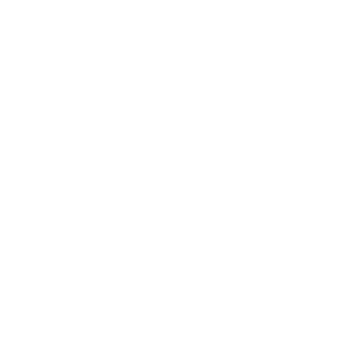 AnIceyBreeze's emblem