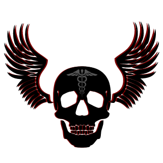 4fb21979500336ac's emblem
