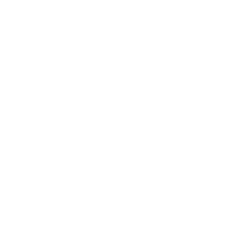 -1Captin1-'s emblem