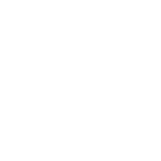 he_Romulus's emblem