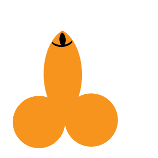 viZZZok's emblem