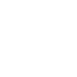 Bommelswager's emblem