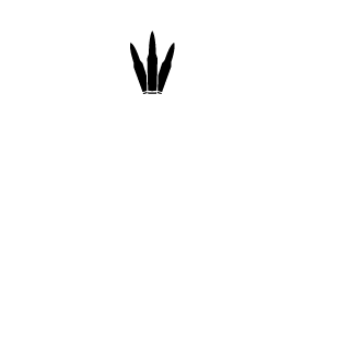 2SHARK's emblem