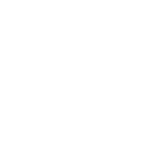 SpaceGeek37's emblem