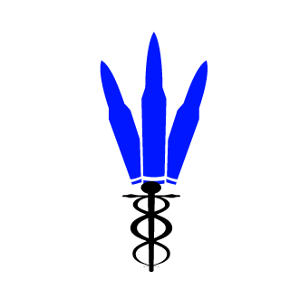 tommybgros's emblem