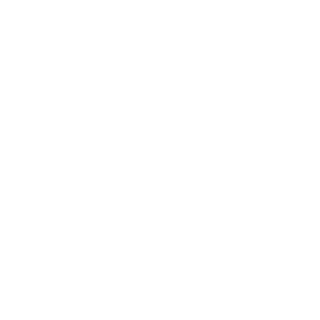 VF1SHADOW's emblem