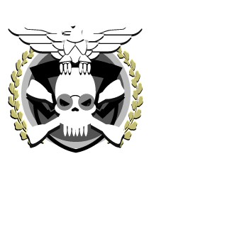 xam_storm's emblem