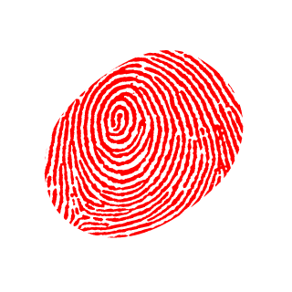 Bibilull's emblem