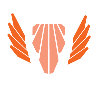 War_Insanity's emblem