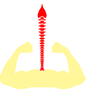 bb543899's emblem