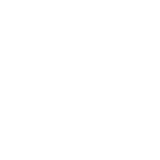 Leandrofreestep's emblem