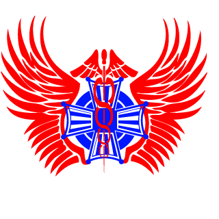68f2a0fa0da1020b's emblem