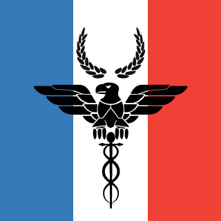 Wolfangel91's emblem