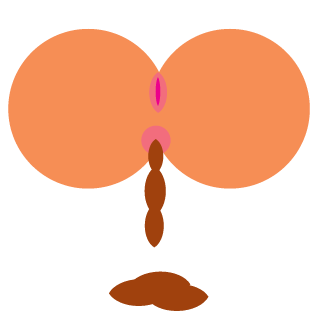 eelamaan's emblem