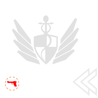 8b9137770ea7bc06's emblem