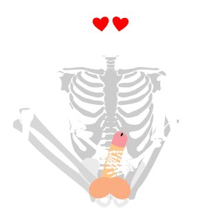 SkillyDilly7's emblem