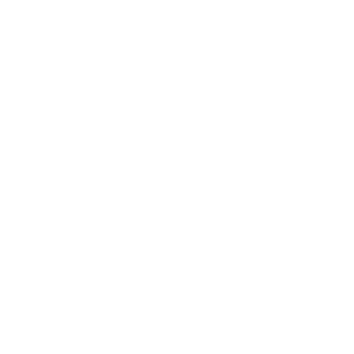 spaceface2121's emblem
