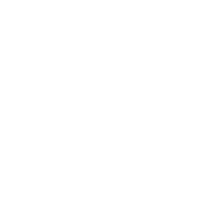 FD_NTN's emblem