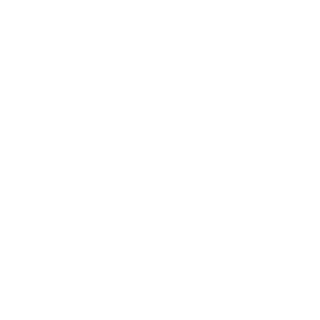 cas1g's emblem