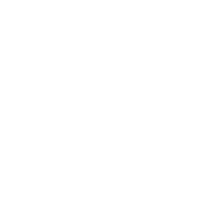 Aelen-110's emblem