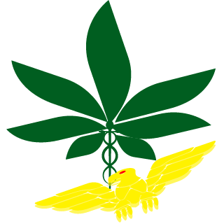 Shogo100's emblem