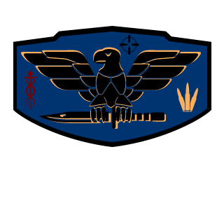 Castr029's emblem