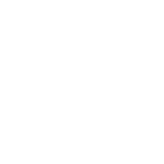 CoreSystems's emblem