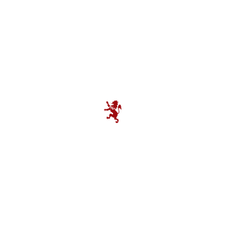 ShotEntertain's emblem