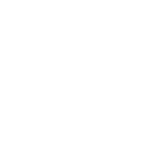 Vega-017_M31's emblem