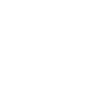 mbv49rr's emblem