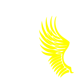 Lucidelusions's emblem