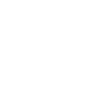 GroovyDoovy's emblem