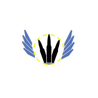 Axmed_1989's emblem