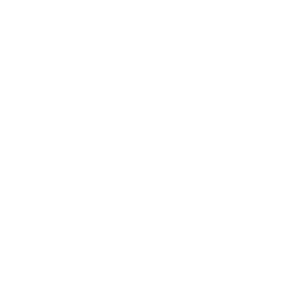 9f99101252a48a46's emblem