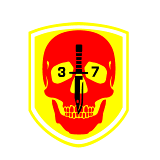 MediocreMayhem's emblem