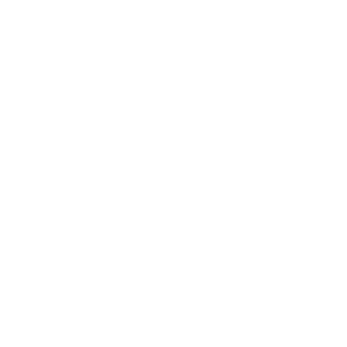 VaporWeasel's emblem