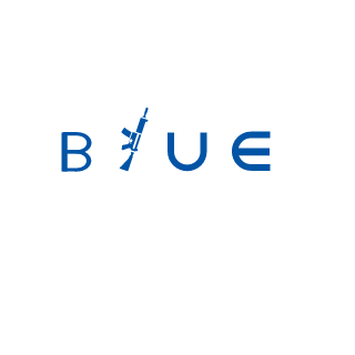 Bluefoxwings's emblem