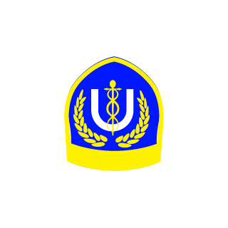 PixySlick's emblem