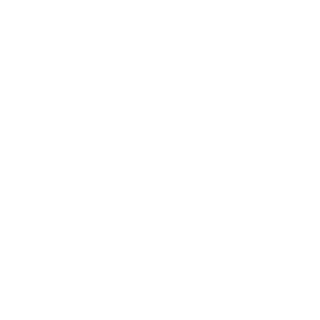 STNGLE's emblem