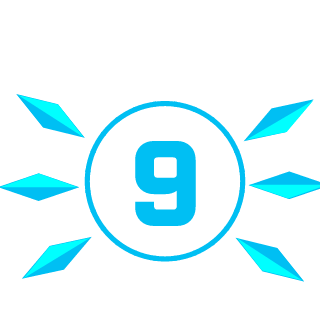 CIRN9's emblem