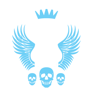 the_NS24K's emblem