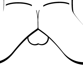 SeedySenn's emblem
