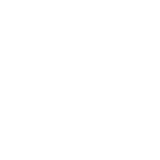 Sapporo-S9's emblem