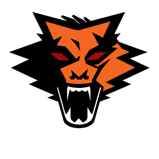 iceFoX_72's emblem