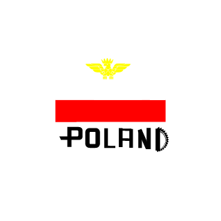 Mr_Blaqu_PL's emblem